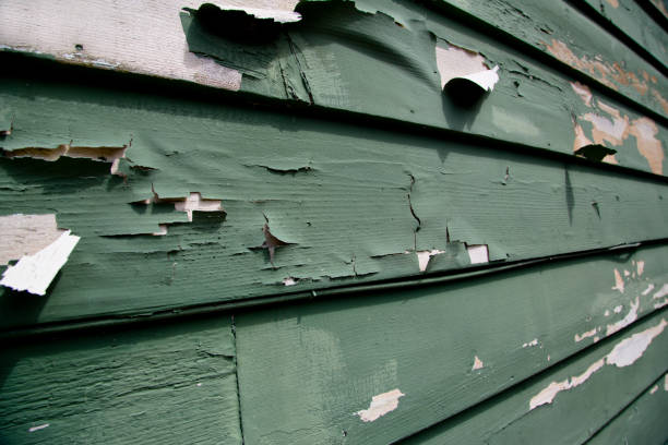 Trusted The Pinehills, MA Siding Services Experts